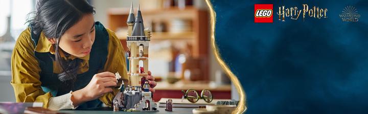 Actual product image LEGO Owlery at Hogwarts™ Castle (76430, LEGO Harry Potter)