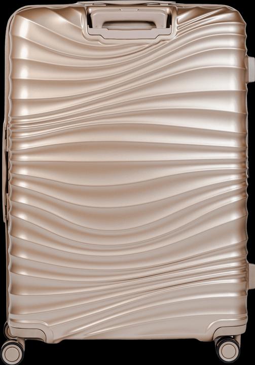 Actual product image Swissbags Cruise (120 l, L (90 - 115l))