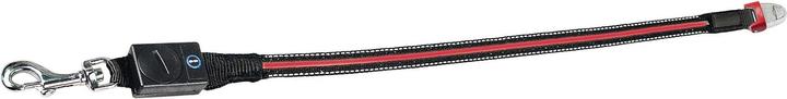 Produktbild Flexi Flash Belt (S, M, Hund, Spazieren)