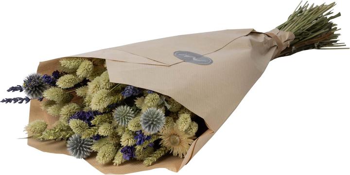 Actual product image Anjel Viola (Dried flowers)