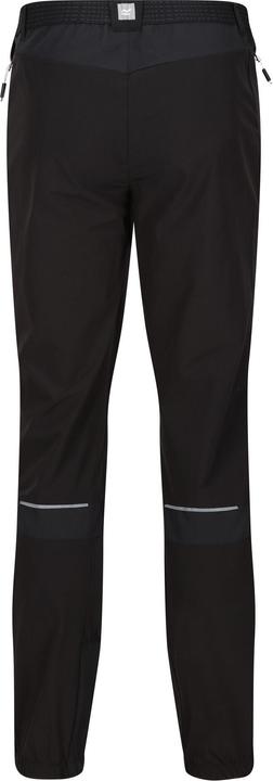 Actual product image Regatta Mens Mountain III Hiking Trousers (52 D)