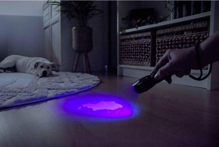 Image du produit Ansmann Lampe de poche Action 400 UV (3.75 cm, 100 lm)
