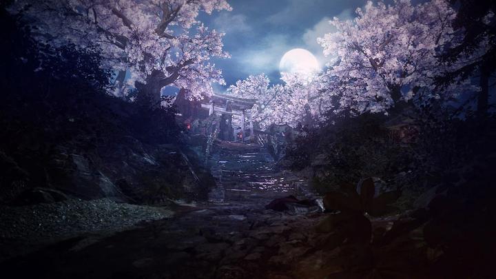 Image du produit Sony Nioh 2 (PS4, IT, EN)