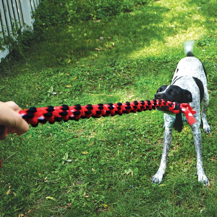 Immagine prodotto KONG Corda Signature Double Tug (Cane giocattolo da tiro)