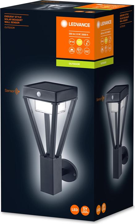 Image du produit Ledvance Bouquet solaire Endura Style (550 lm, IP44)