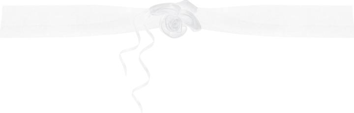 Image du produit Partydeco Accessoires de fête Décoration de voiture Organza 1.8 m, 2 pcs, blanc