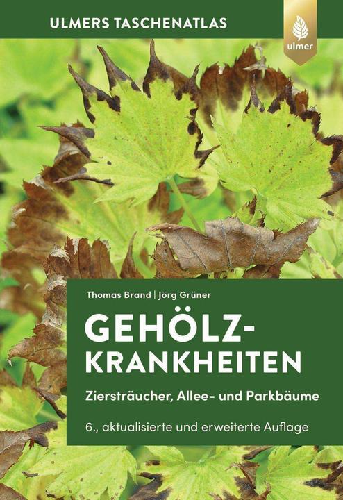 Produktbild Gehölzkrankheiten (Deutsch, Thomas Brand, Jörg Grüner, 2024)