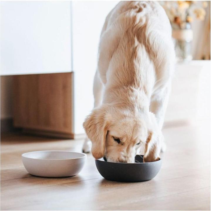 Actual product image District 70 Bamboo Dog Bowl (1.60 l)
