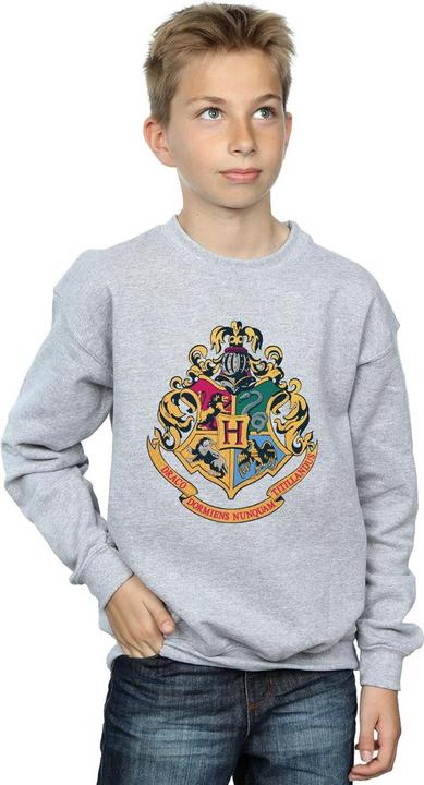 Actual product image Boys Hogwarts Crest Gold Ink Sweatshirt (140, 146)