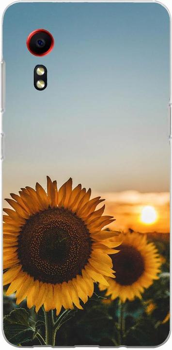 Sonnenblumen