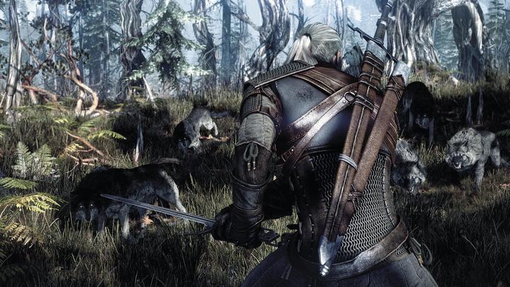 Image du produit The Witcher 3 : Wild Hunt
