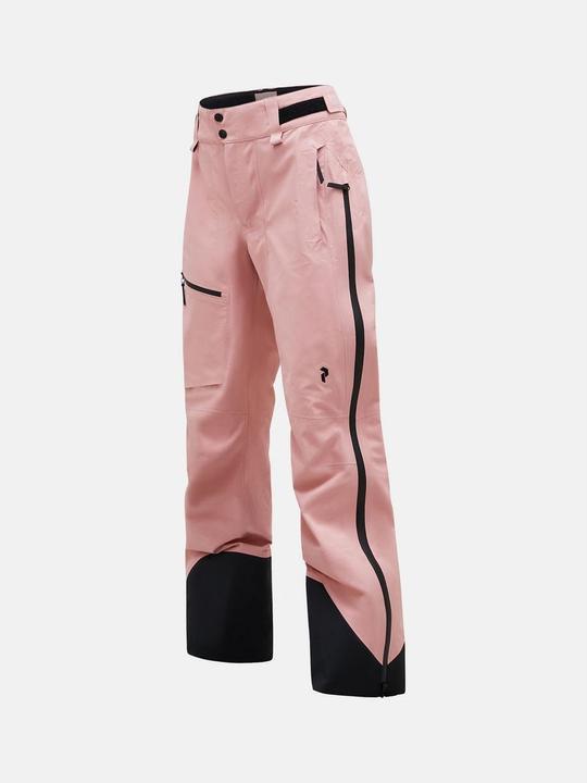 Peak Performance Alpine Gore-Tex Skihose (L)