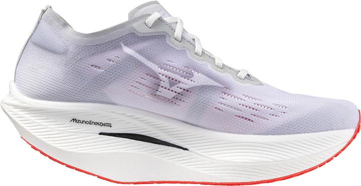 Mizuno Wave Rebellion Pro 2