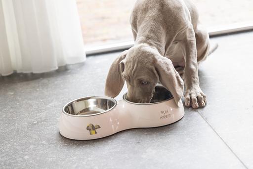 Actual product image Beeztees Puppies bowl Binky (0.16 l)