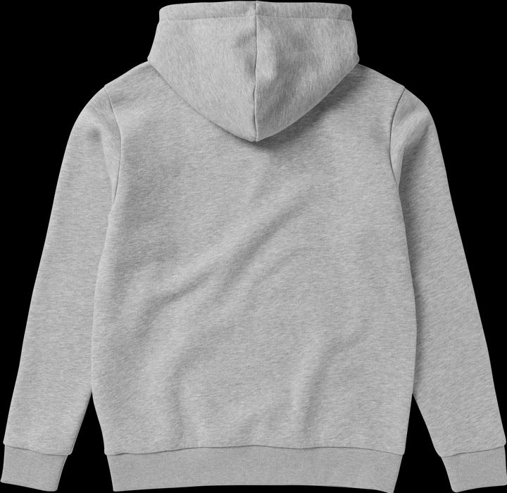 Actual product image Mystic Icon Hood Sweat (XL)