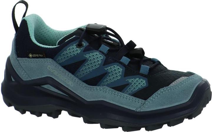 Produktbild Lowa Maddox Pro GTX LO (26)