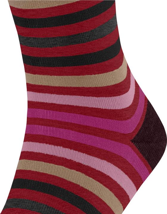 Produktbild Falke Tinted Stripe SO (Einzelpack, 43 - 46)