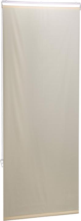 Actual product image Relaxdays Shower roller blind (60 x 4.5 x 240 cm)