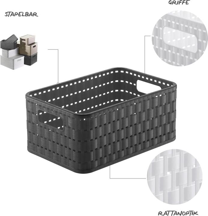 Immagine prodotto Rotho Paese (1 x, 23,7 x 15,8 x 10,8 cm)