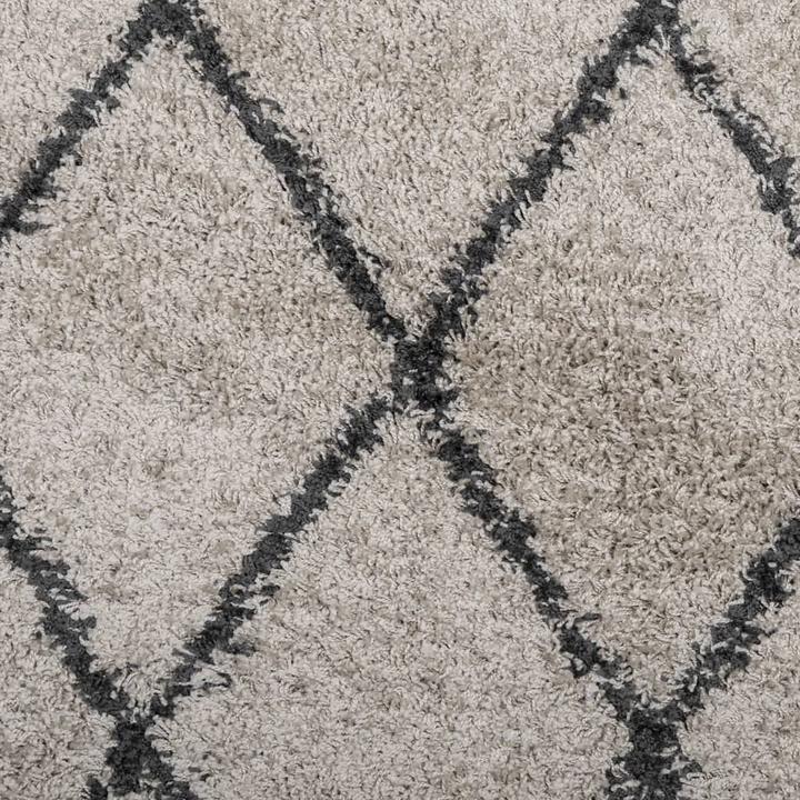 Produktbild VidaXL Teppich Shaggy Hochflor Modern (170 x 120 cm)