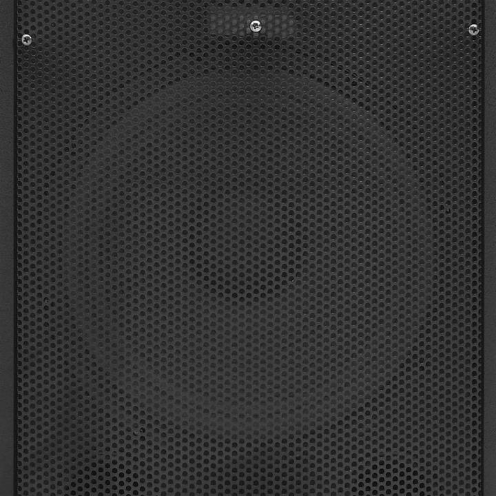 Actual product image Diverse Hardware Professioneller HiFi-/Bühnen-Lautsprecher Passiv 1000 W Schwarz (Passive, 1x 1000 W)