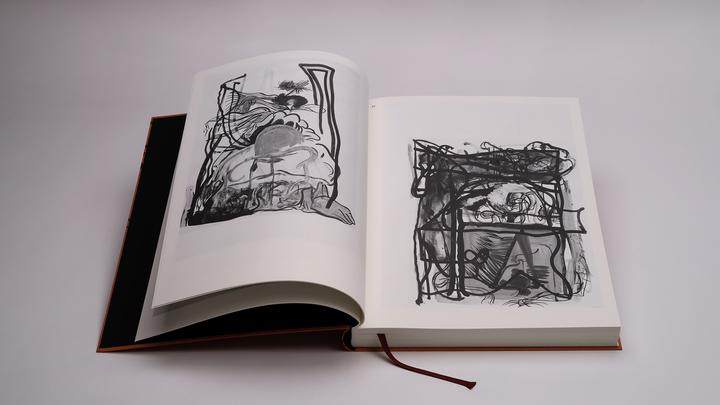 Produktbild Pils:Tobias Pils (Englisch, Willi Schmid, David Kordansky Gallery, Richard Shiff, Galerie Gisela Capitain, Galerie Eva Presenhuber, Tobias Pils, 2024)