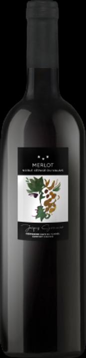 Actual product image Jacques Germanier Merlot AOC du Valais Barrique (2018)