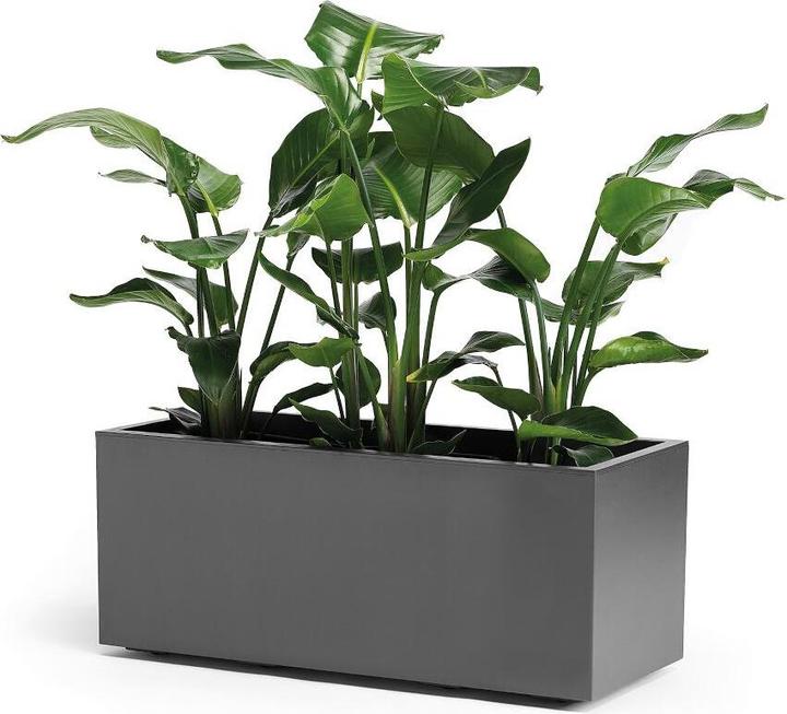 Image du produit Euro3plast Greener Kebe (39.50 cm)