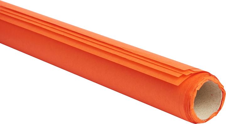 Immagine prodotto Ursus Carta velina, 50 x 70 cm, 20g/m², 6 fogli (20 g/m², 6 x)