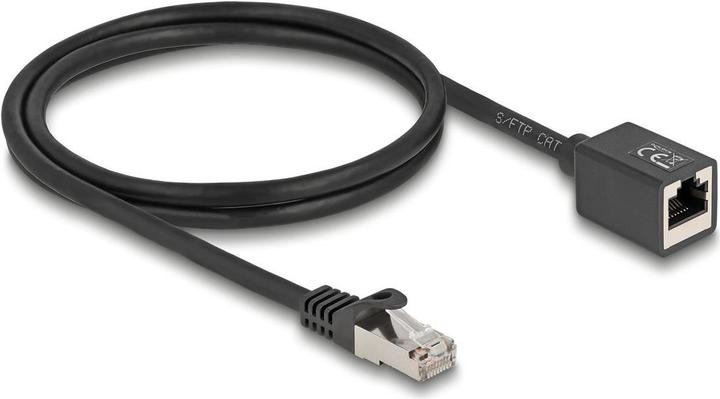 Image du produit Delock Câble d'extension réseau RJ45 mâle vers RJ45 femelle (S/FTP, CAT6a, 1 m)