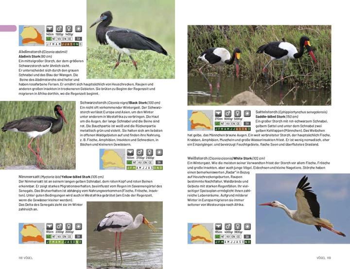 Image du produit Afrika Safari Media Safari-Reiseführer Gambia & Senegal (Allemand, Ruud Troost, 2020)