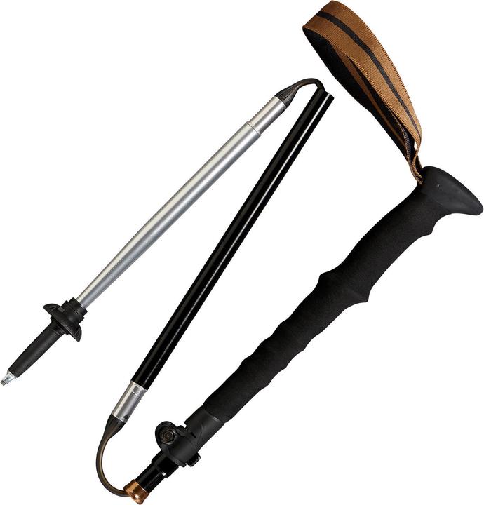Image du produit Forclaz 1 POLE DE TREKKING MT 900 172316