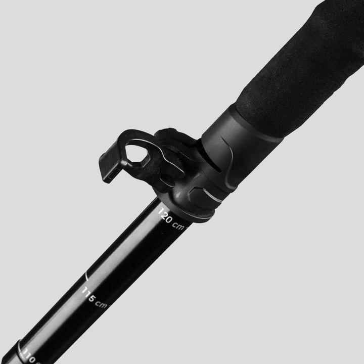 Image du produit Forclaz 1 POLE DE TREKKING MT 900 172316