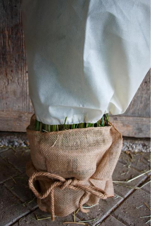 Produktbild Colibri Jute Kordel (200 cm, 200 cm)