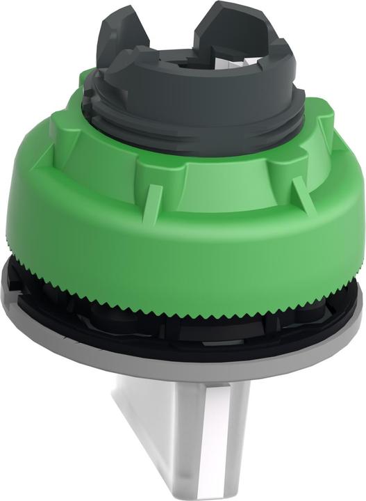 Actual product image Schneider Electric Illuminated selector switch, front, plastic, ZB5FK1313C0