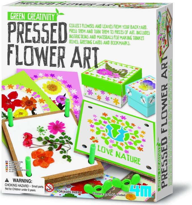 Actual product image 4M Green Creativity/Pressed Flower Art