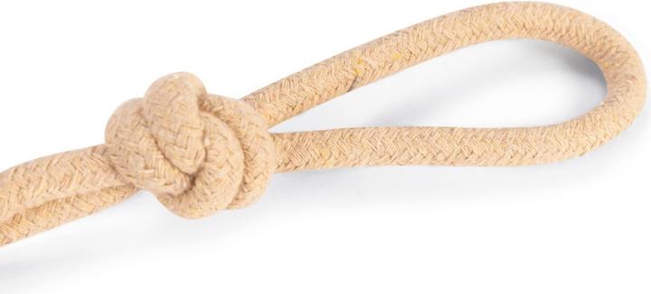 Immagine prodotto Beeztees Meno una palla da tennis (Palla giocattolo per cani)