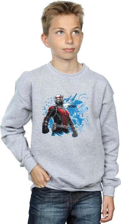 Actual product image Boys Ant-Man Standing Sweatshirt (152, 158)