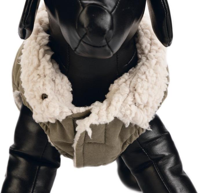 Immagine prodotto Designed by Lotte Cappotto per cani Philos (S, Cappotto per cani)