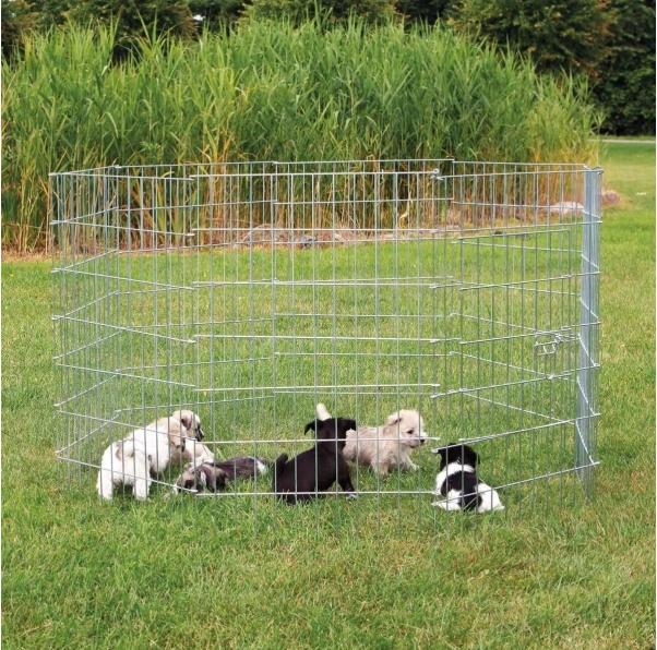 Produktbild Trixie Freilauf für kleine Hunde (Hundezwinger)