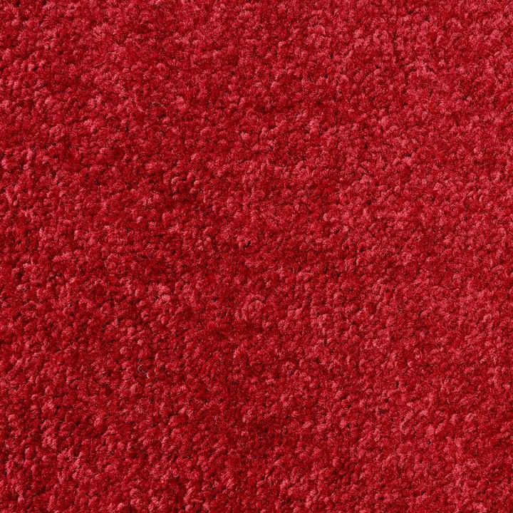 Produktbild Karat Fussmatte Performa (60 x 90 cm)