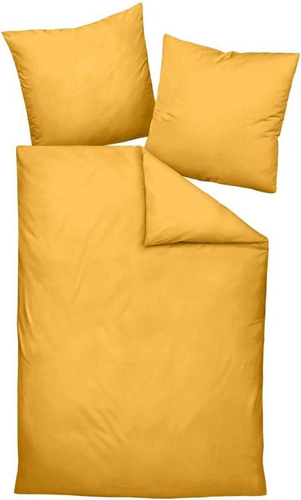 Ambre