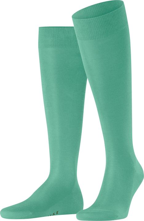 Falke Tiago Herren
