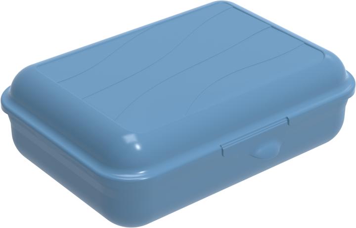 Actual product image Rotho Storage box