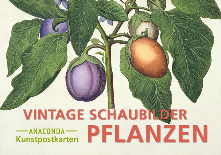 Actual product image Vintage postcard set plants (20 pcs.)