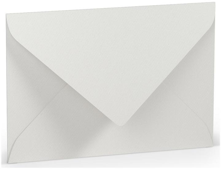 Immagine prodotto Rössler Busta B6 SF grigio ghiaccio (B6, 5 x)