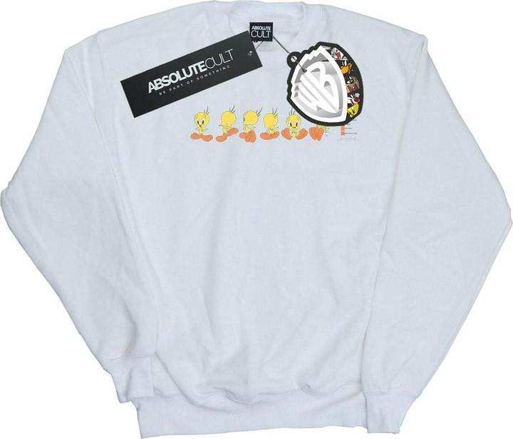 Actual product image Looney Tunes Womens/Ladies Tweety Pie Colour Code Sweatshirt (S)