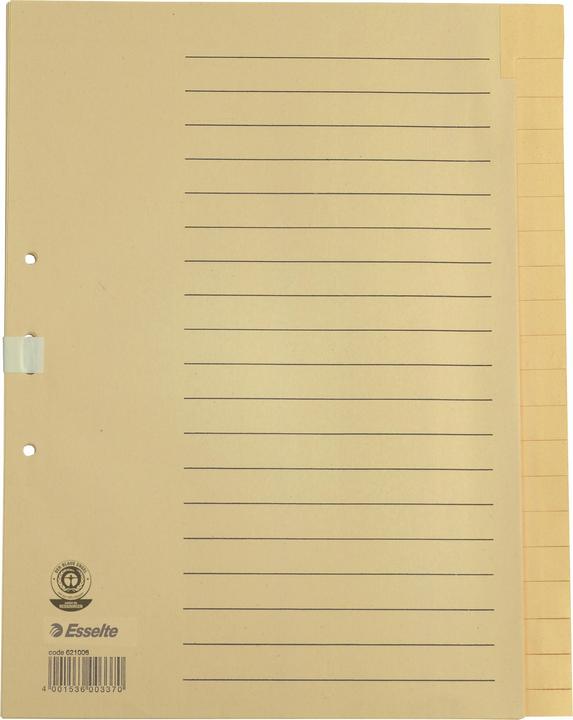 Produktbild Esselte Register Papier chamois