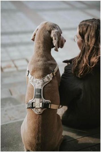 Image du produit Hunter Harnais Camouflage Divo pour chiens Beige L-XL (Chien, Général)