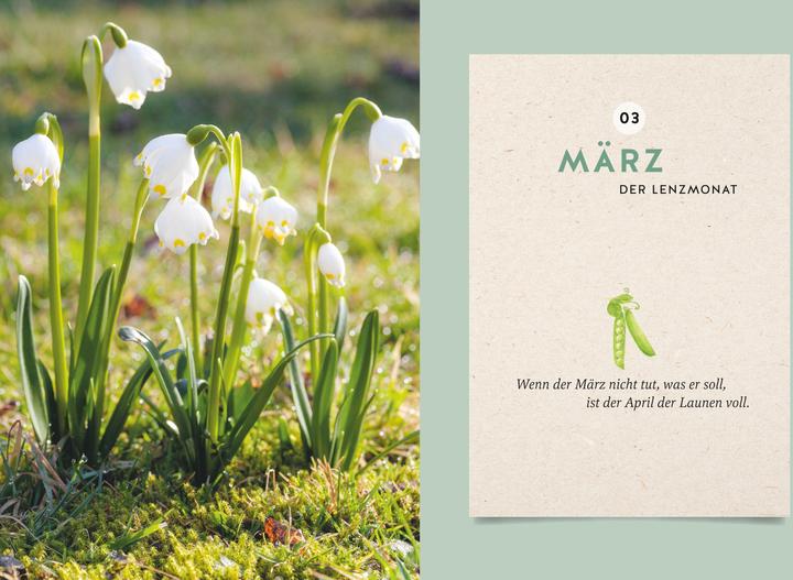 Produktbild Mein Gartenkalender 2025 (Deutsch)